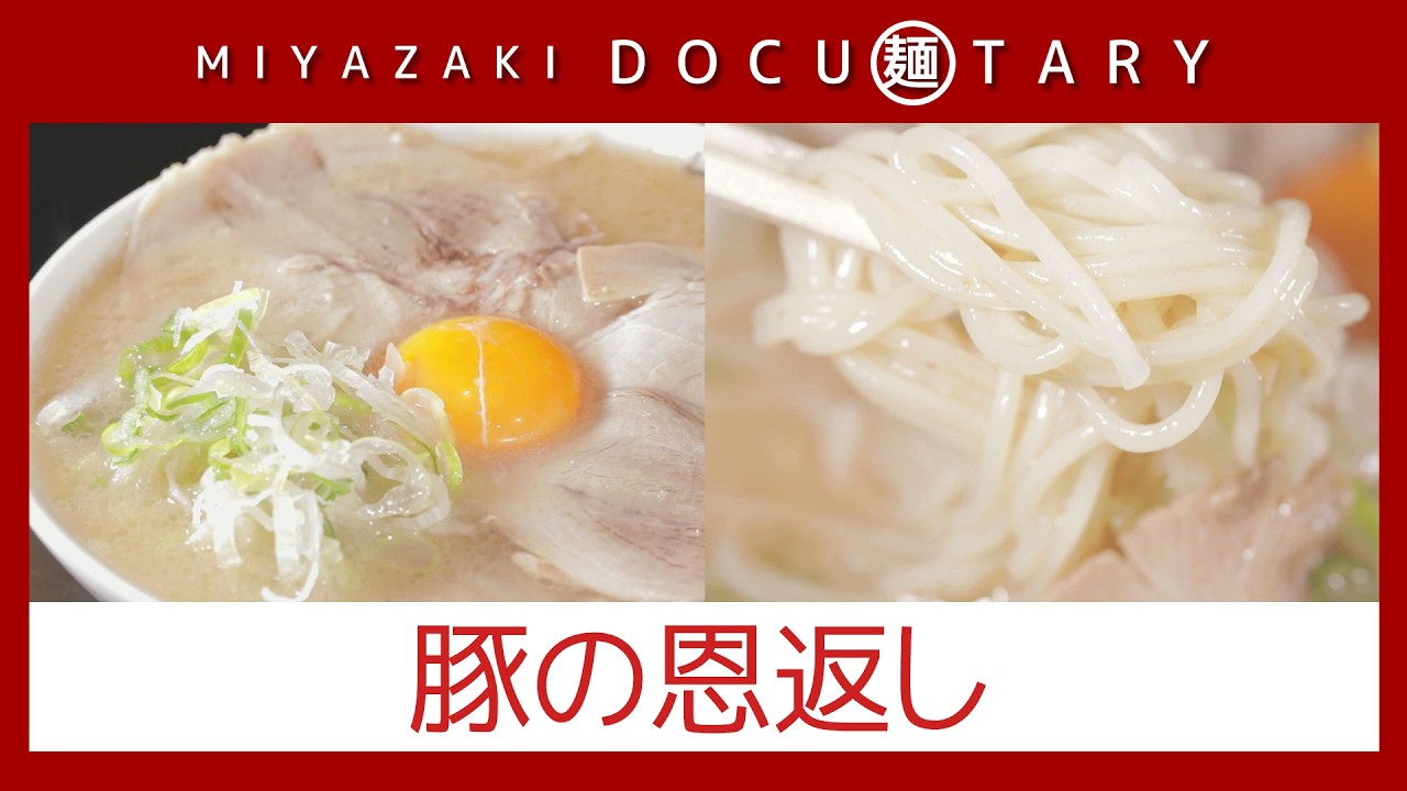 『豚の恩返し』情報ワイド番組まるっと！「MIYAZAKI  DOCU麺TARY」　#ラーメン #豚骨 #麺