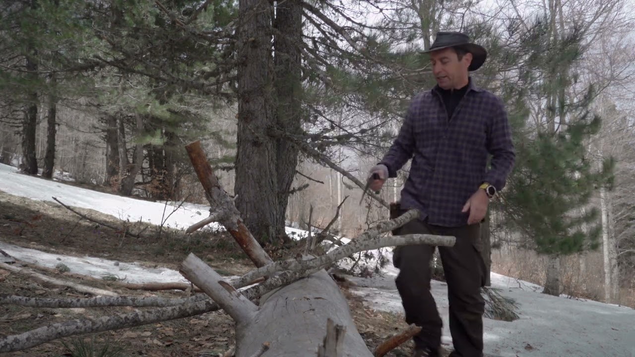 omelette in the wood and a nice encounter