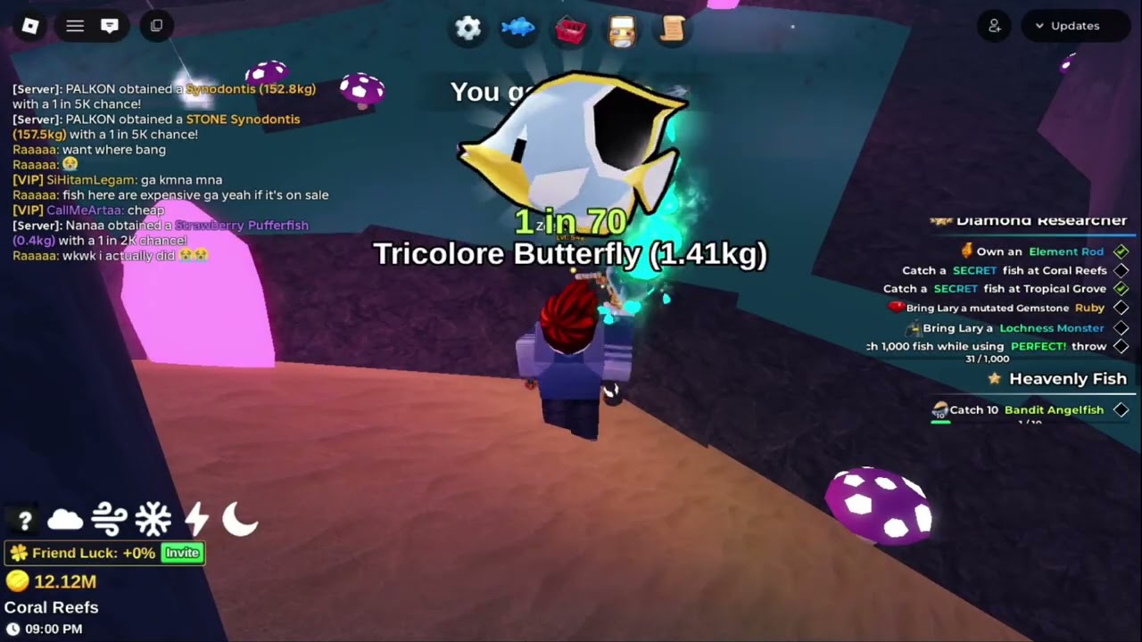 [afk fish it] Rutinitas ke #14 di Coral Reefs #roblox