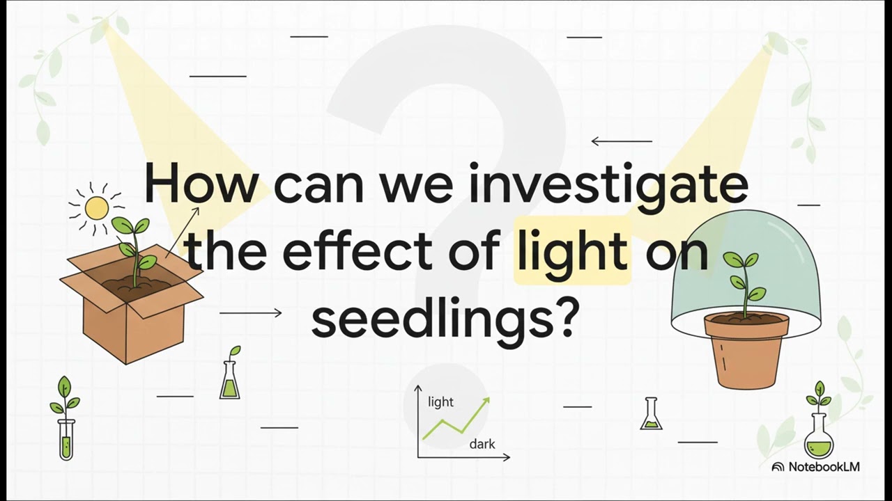AQA GCSE Biology Required Practical Activity 8 - Plant Hormones