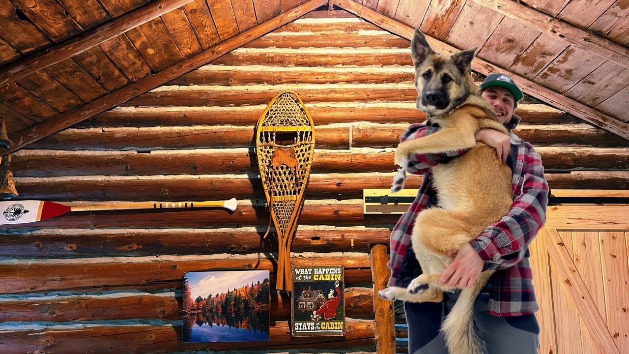 Alone in a 100 year old log cabin with my dog: Canadian wilderness.