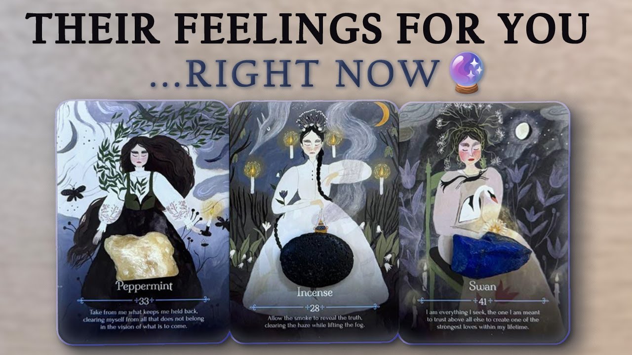 🔮 Their Feelings for You… Right Now | Pick A Card 💭 Love Reading | Timeless & Channeled