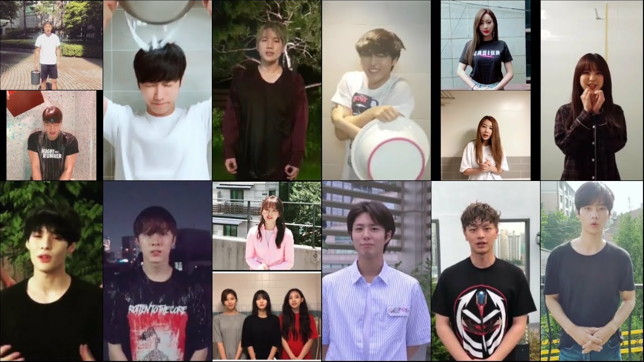 2018 연예인 아이스버킷챌린지