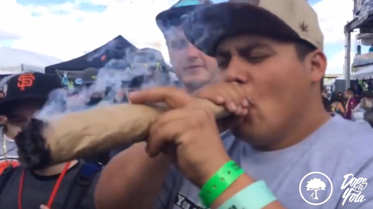 Denver Cannabis Cup Walk Through