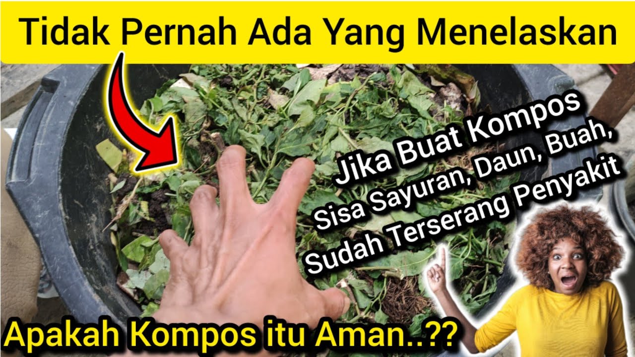 🛑 Jarang Di Jelaskan‼️Apa Aman  Jika Anda Buat Kompos Bahan Organik Yang Telah Terserang Penyakit ⁉️