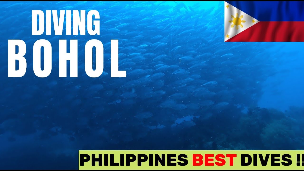 Philippines best dive site! Huge Schools & Stunning Reefs!