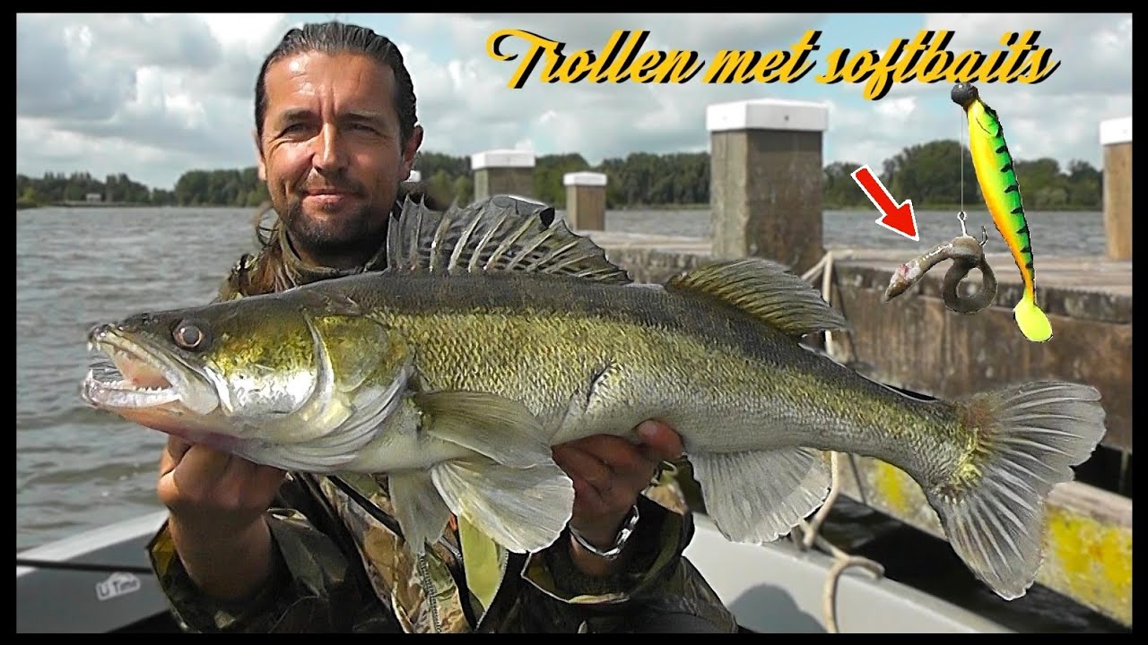 GROTE SNOEKBAARS en METERSNOEK - TROLLEN MET SHADS OPENING 2025 #93