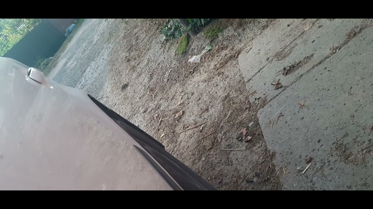 Жор масла на моторе 1.6 bfq.