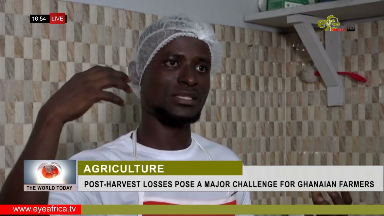POST-HARVEST LOSSES POSE A MAJOR CHALLENGE FOR GHANAIAN FARMERS