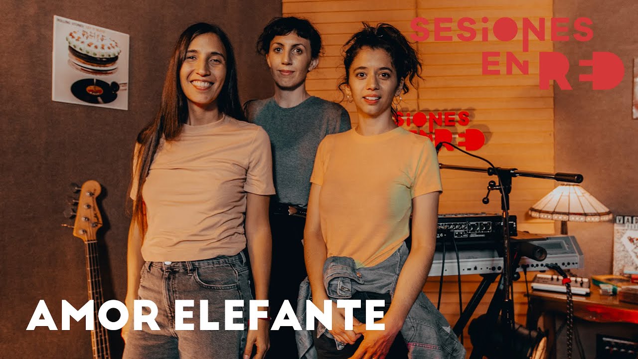 AMOR ELEFANTE | Sesiones en Red 🔴