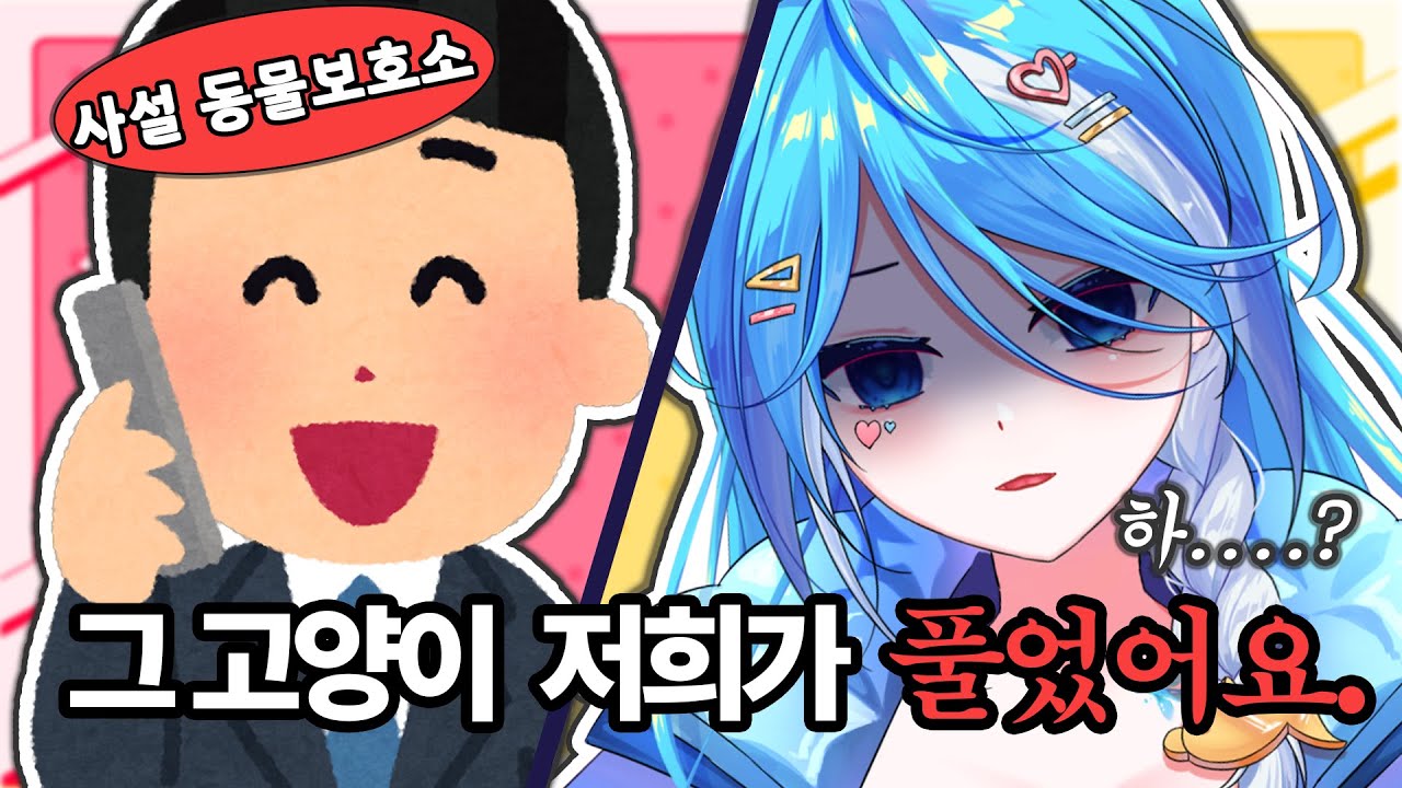 영하 10도에서 발견된 고양이.