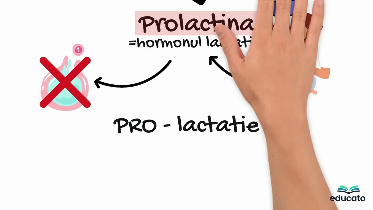 Hormonii hipofizari | Glandele endocrine – Biologie Admitere Medicină (Corint)