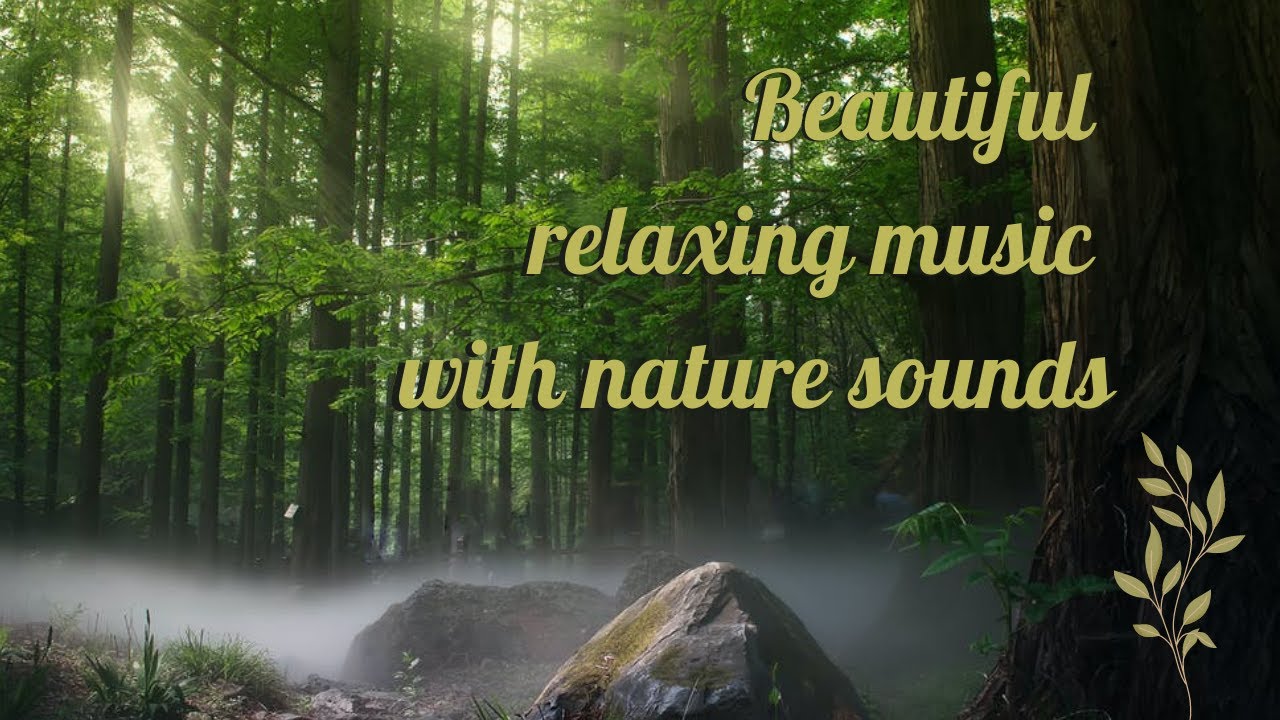 The best music for relaxation and good mood . La mejor música para relajarse . Прекрасная музыка .