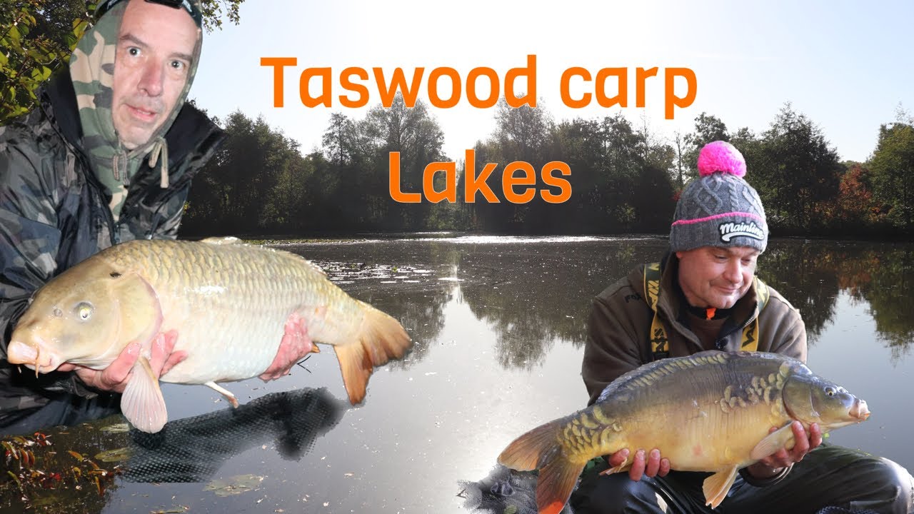 one of the best carp lakes in norfolk