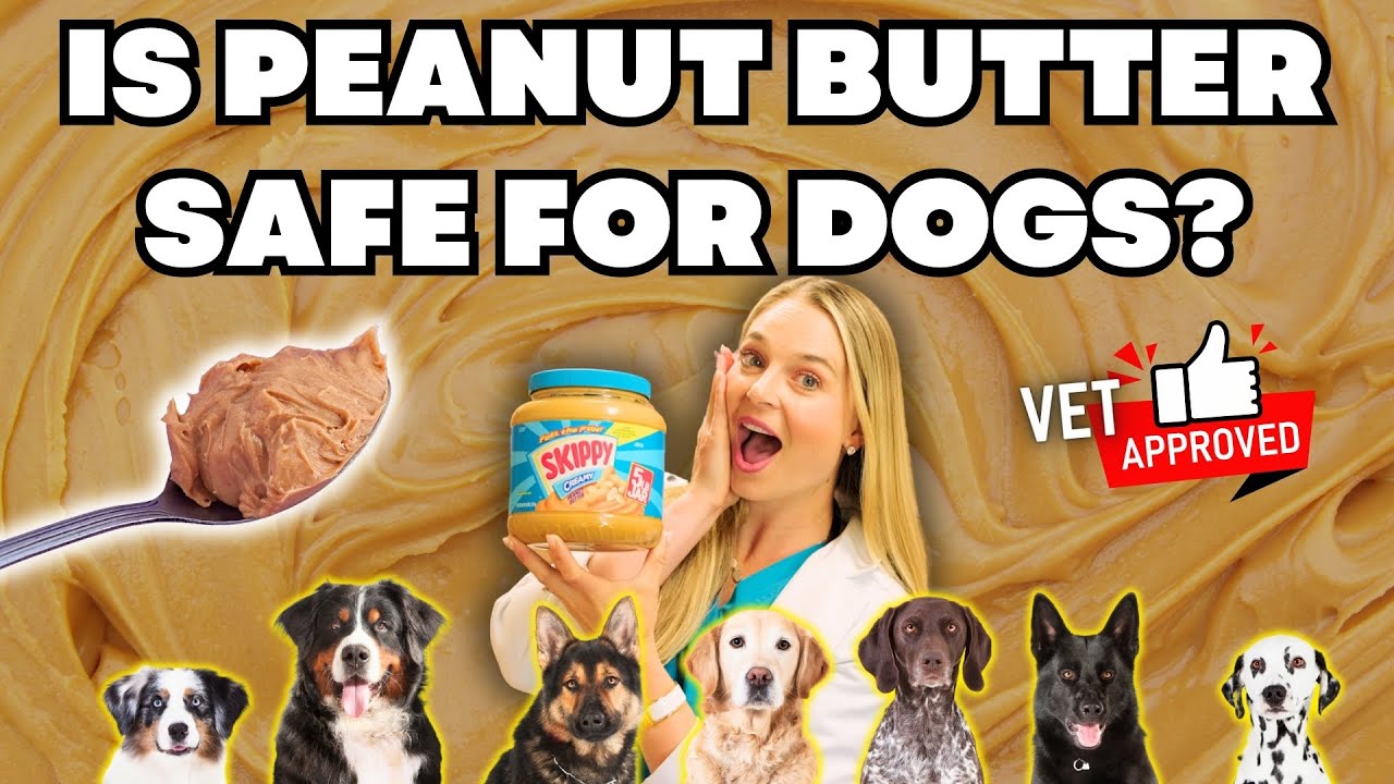 Why Peanut Butter is BAD for dogs! | Vet Simply Explains