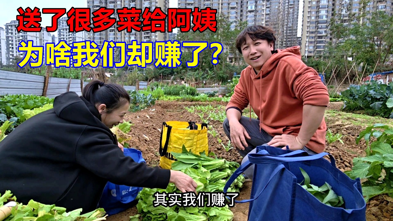 带阿姨过来摘了很多菜，我们一分钱都没有收，为啥我们却赚了？【我是杰少】