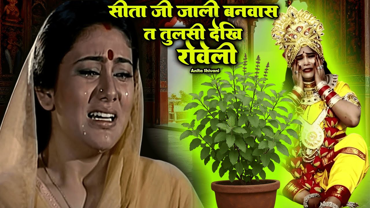 #VIDEO #New || सीता जी जाली बनवास त तुलसी देखि रोवेली - तुलसी विवाह गीत || Anita Shivani - 2025 .