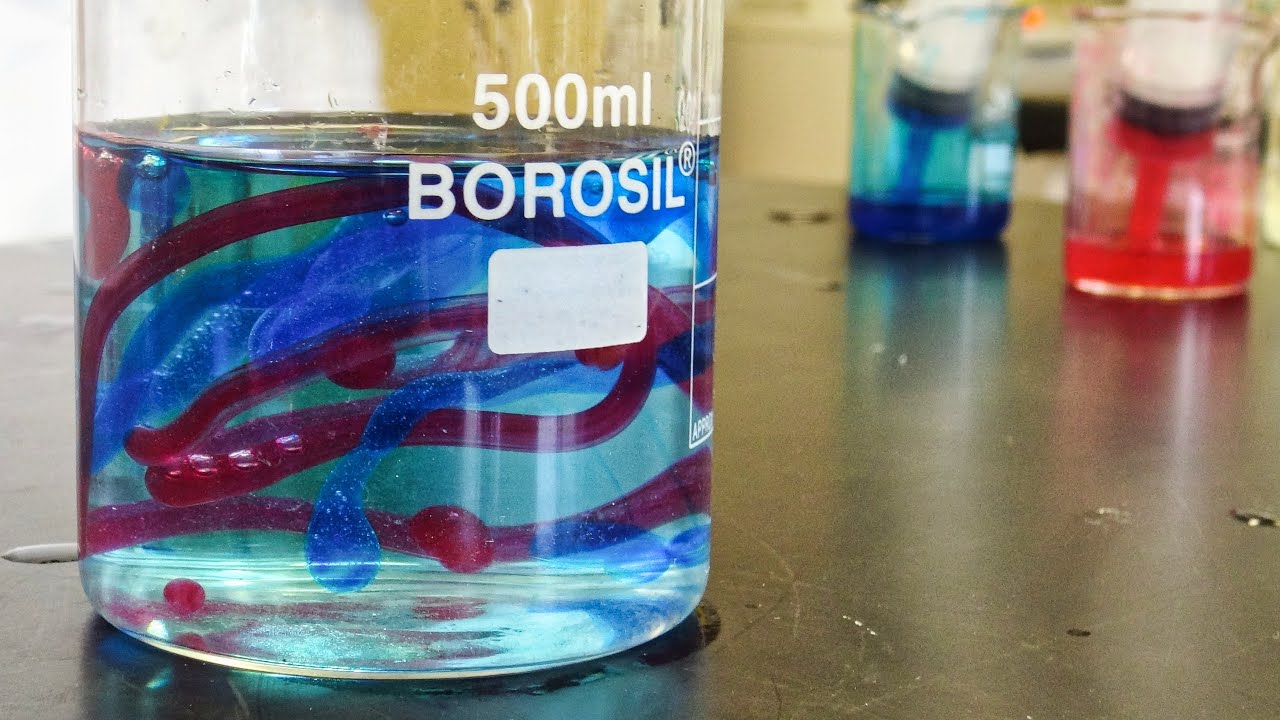 What happens when students rule the lab?