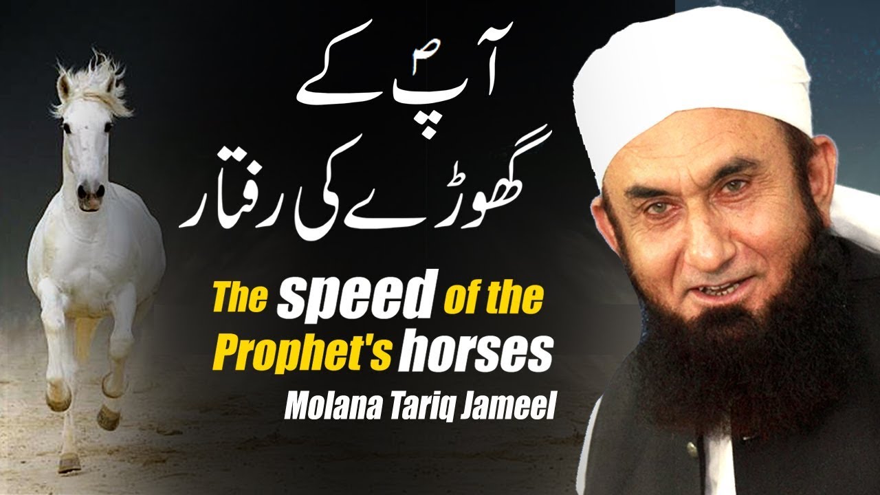 The speed of the Prophet's horse | Molana Tariq Jameel Latest Bayan 23 October 2019