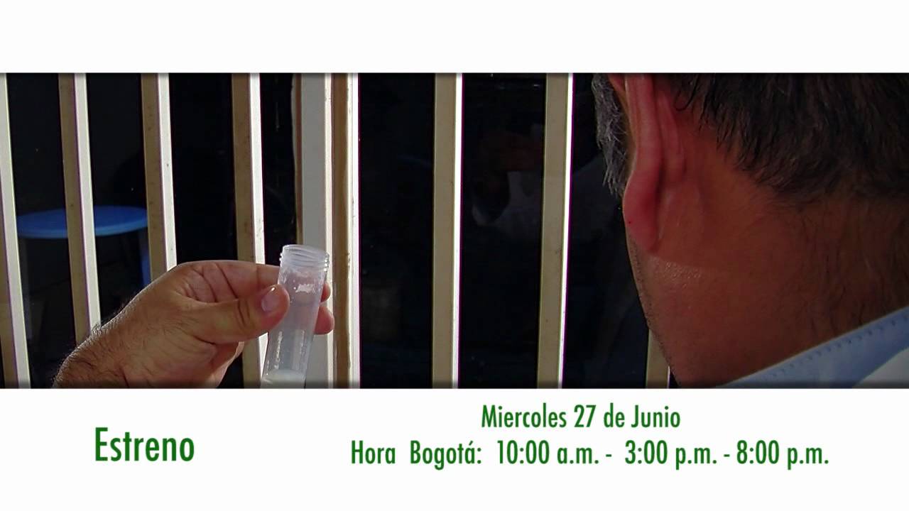 Mundo Equino Biotecnologías Reproductivas (parte I)