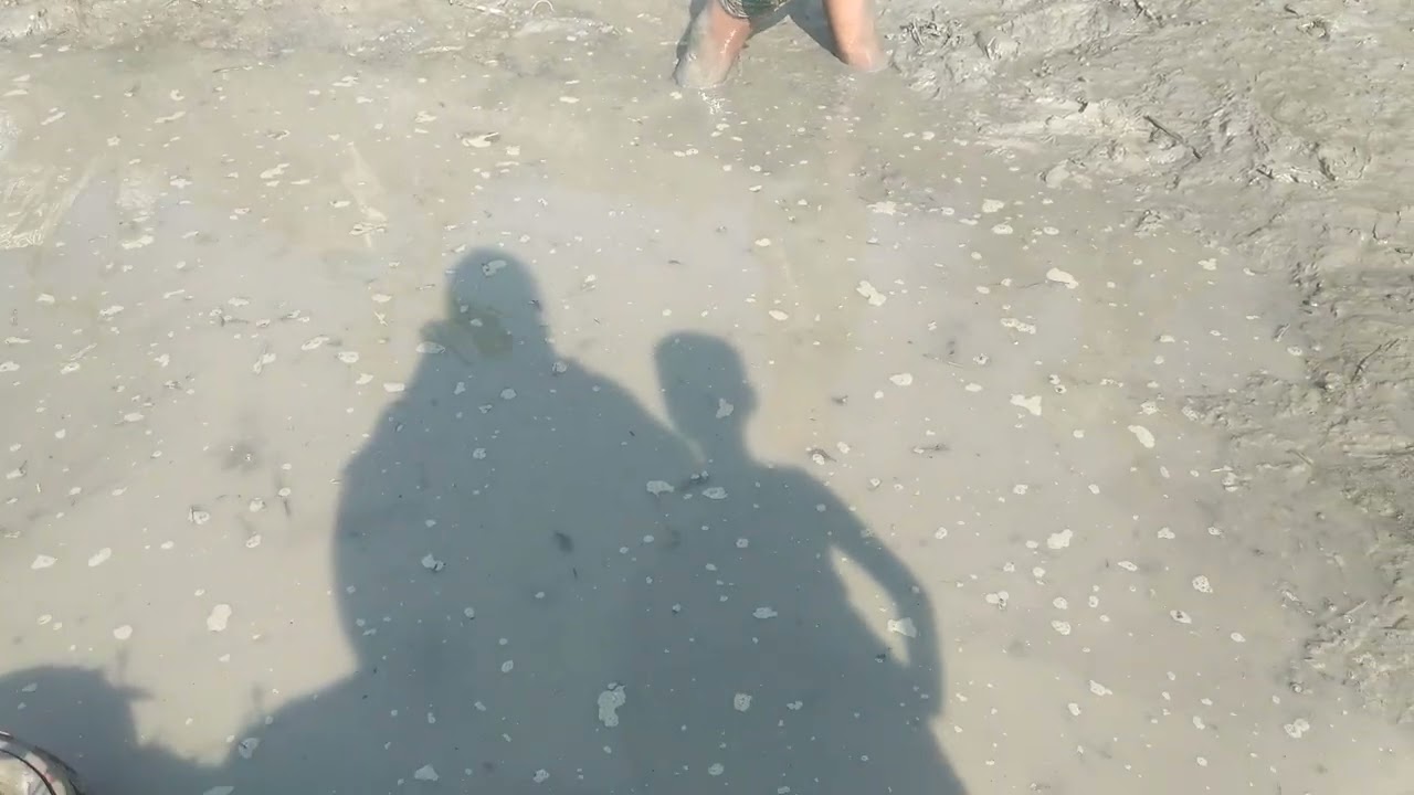 মাছ ধরা হইতাছে পুকুর থেকে