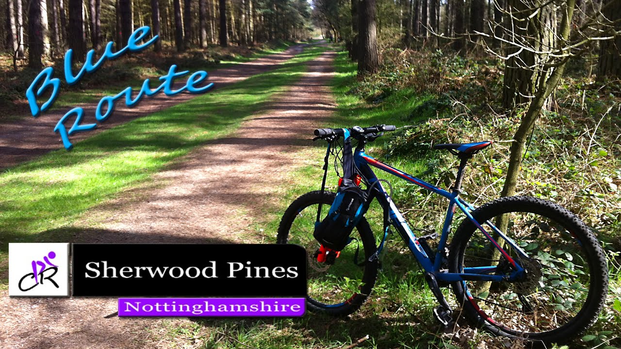 Sherwood Pines Blue Cycle Route Video 2015