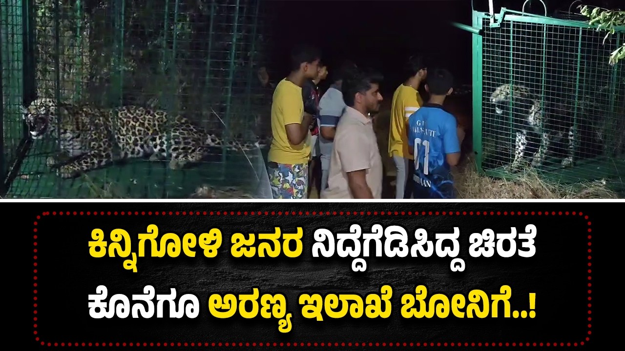 ಕಿನ್ನಿಗೋಳಿ ಜನರ ನಿದ್ದೆಗೆಡಿಸಿದ್ದ ಚಿರತೆ ಕೊನೆಗೂ ಅರಣ್ಯ ಇಲಾಖೆ ಬೋ*ನಿಗೆ..!