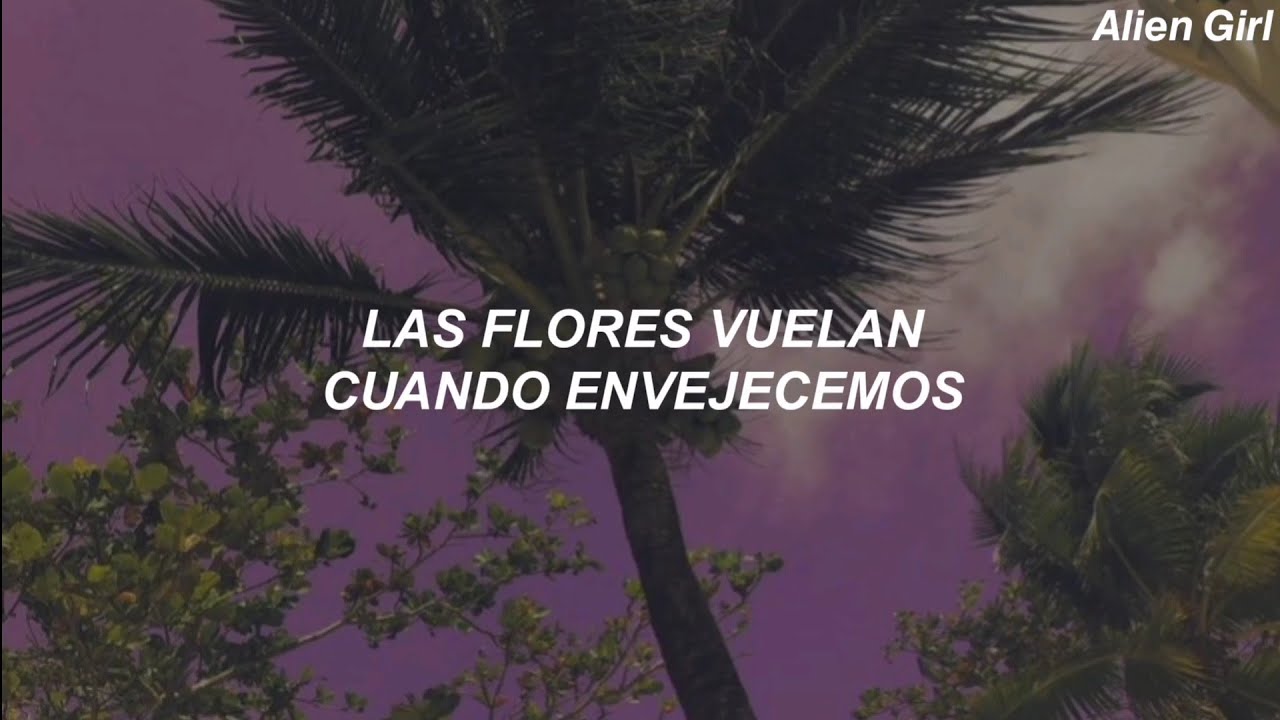 Red Hot Chili Peppers - The Great Apes // Sub. Español