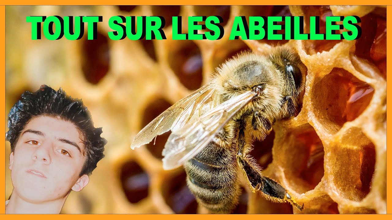 REGARDE CETTE VIDÉO ÇA VA T’INSTRUIRE