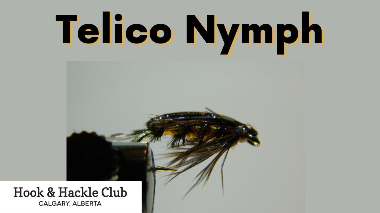 Hook and Hackle Club Presents - Telico Nymph