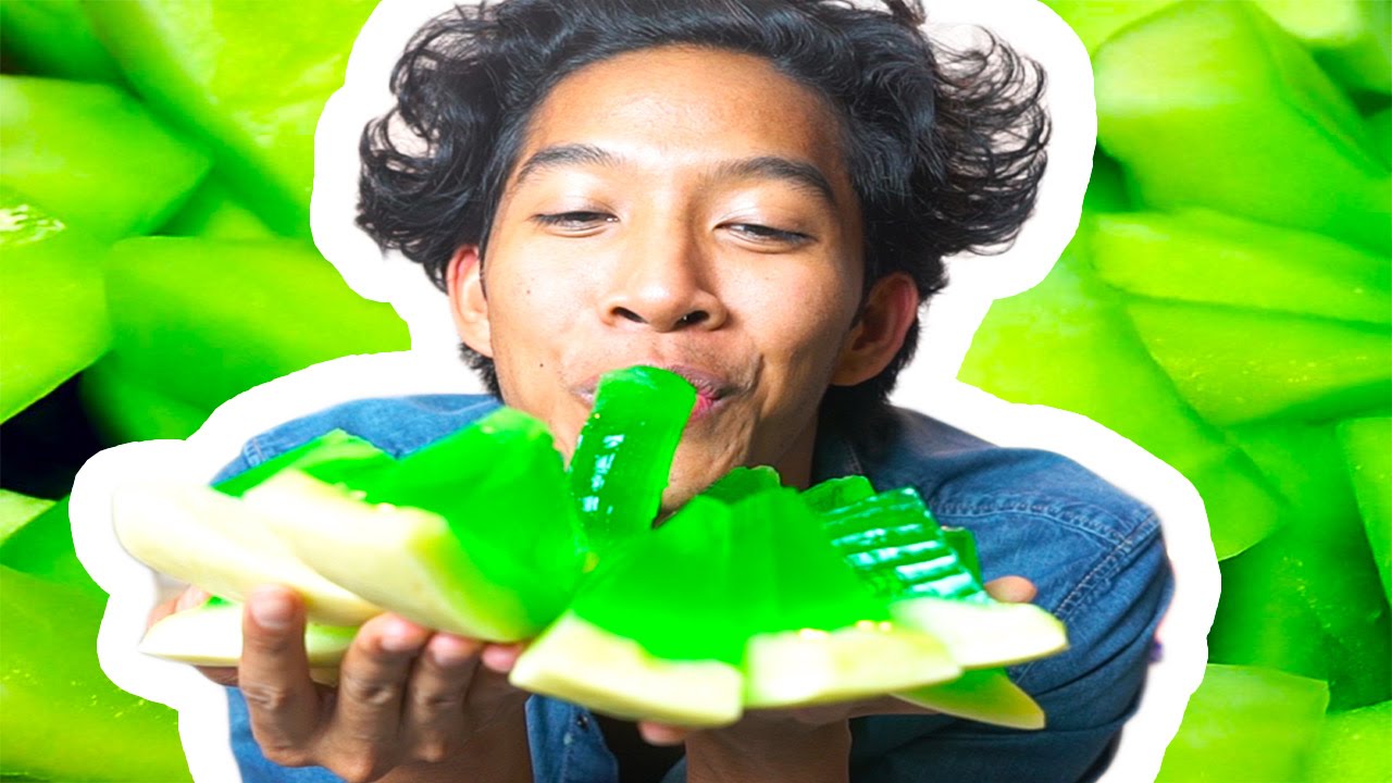 DIY Jello Gummy HoneyDew!! Fruit FUN!