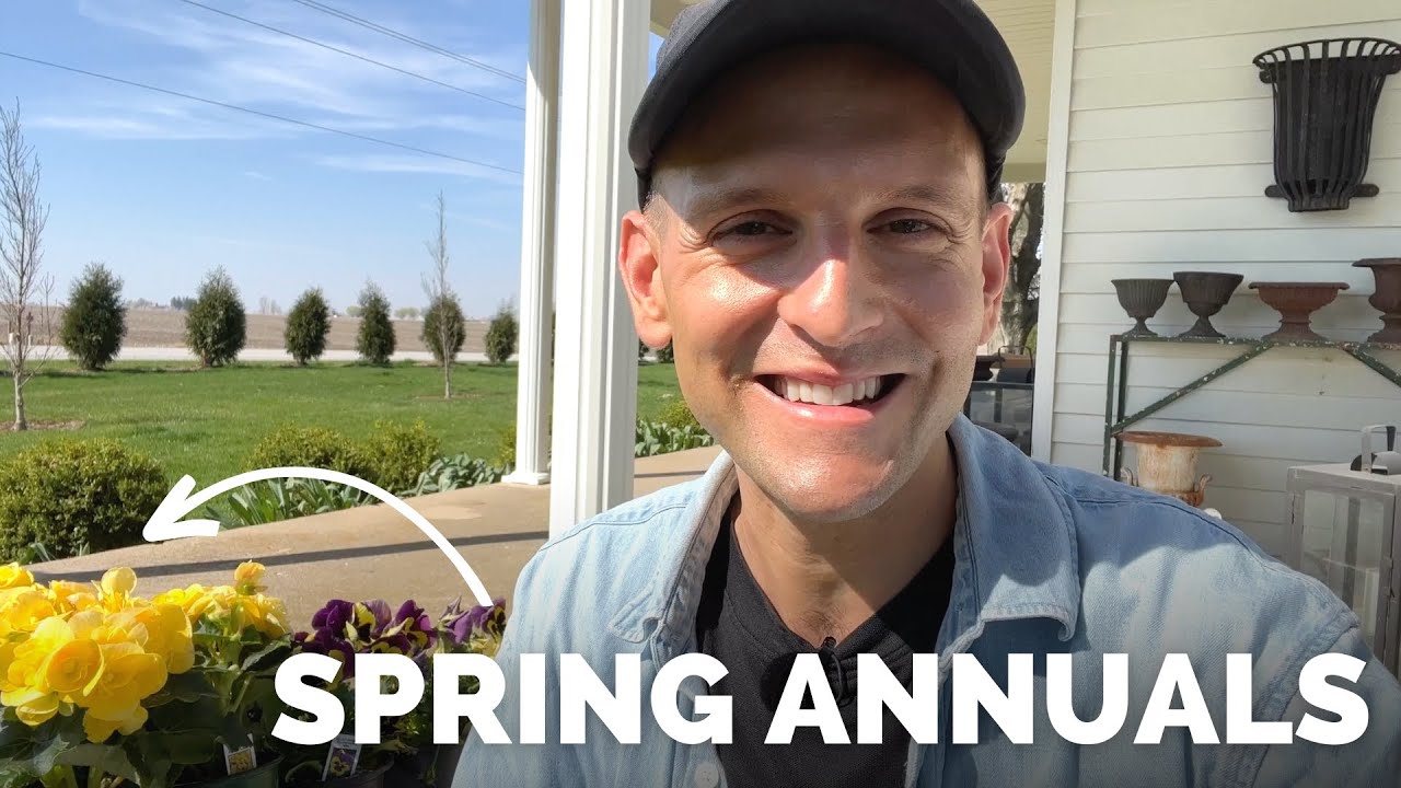 Potting Spring Plants + Trimming Boxwoods + Planting Seeds | Gardening with Wyse Guide