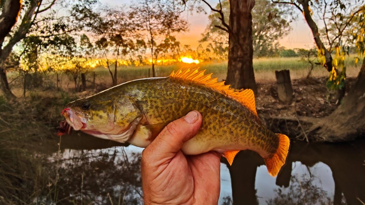 Using Our Nous To Find An AWESOME New Fishing Spot