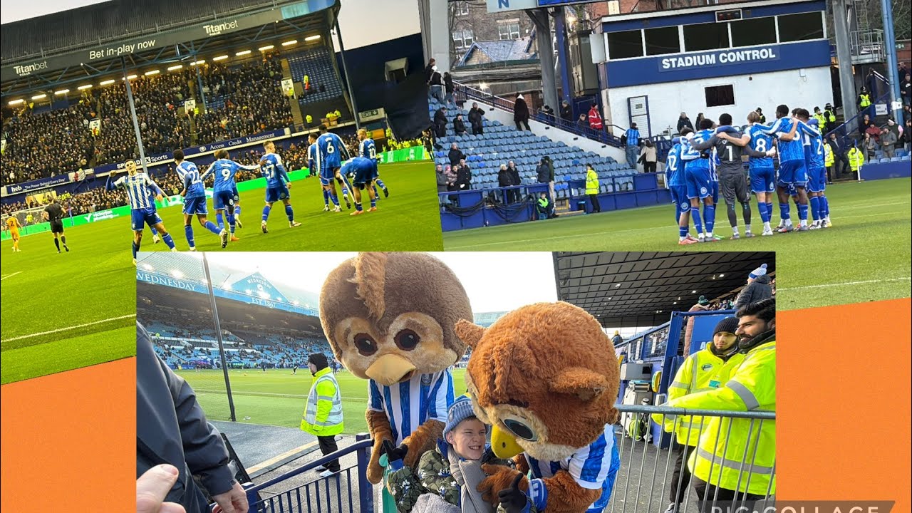 Sheffield wednesday vs Hull city 2-2 🦉🏟️