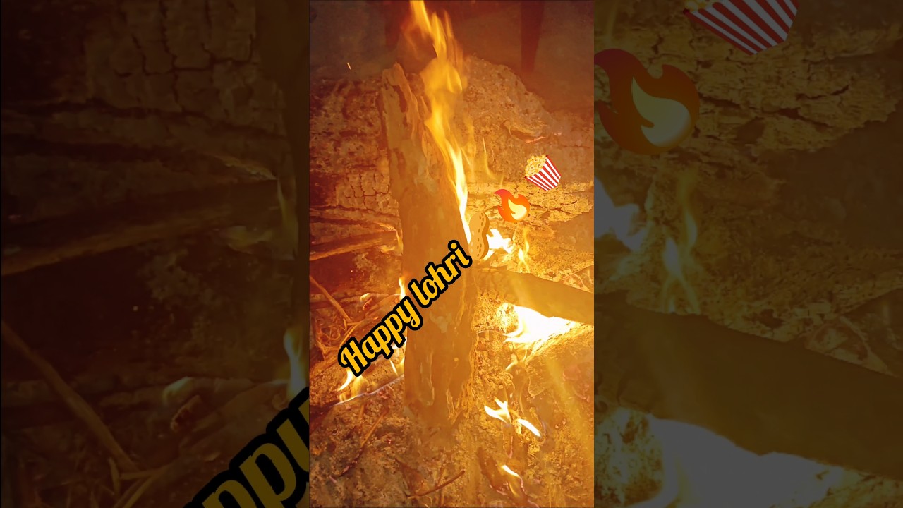 “Desi Lohri Celebration 🪔 | Ganne Ki Kheer, Gud-Til Biscuit, Aate Ka Halwa & Rewdi-Moongfali”