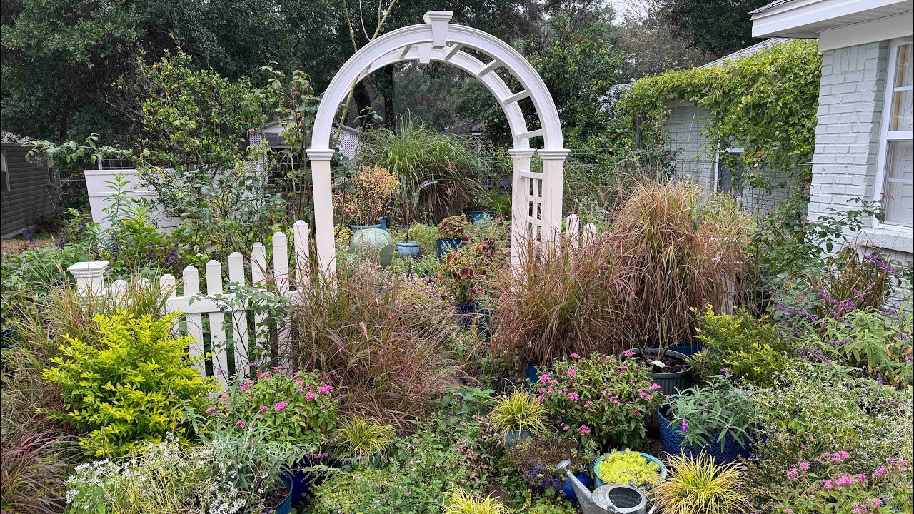 Sunday Morning Garden Tour Zone 9a 2024 January 7th