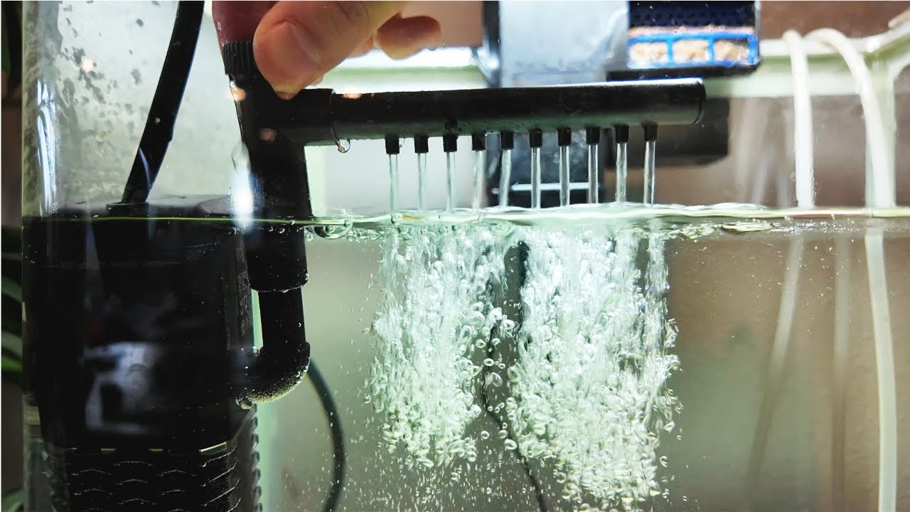 The Best Internal Filter for Aquariums? AQQA 600L/H Test & Review! Sound Level Test