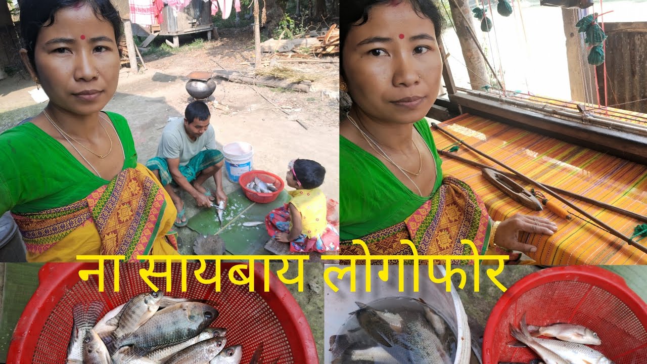 ना सायबाय लोगोफोर दिनैय ना जानीसैय//