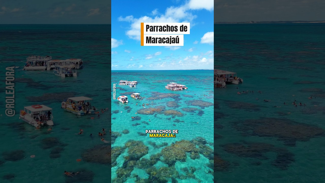 parrachos de Maracaja&uacute; no Rio grande do norte! venha fazer esse passeio 😀 #subscribe