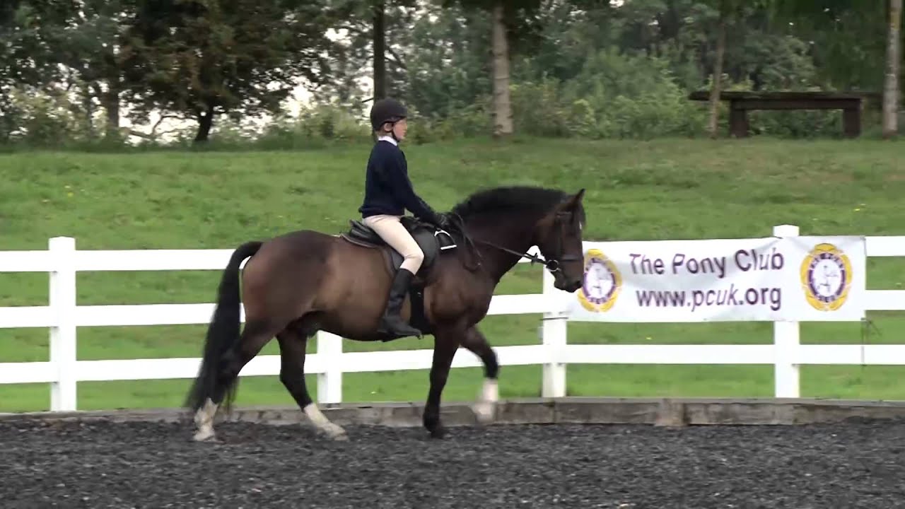 Riding without stirrups