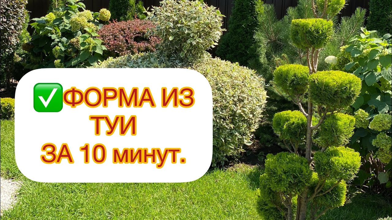 ✅ФОРМА ИЗ ТУИ ЗА 10 мин👍ПОДРОБНО‼️