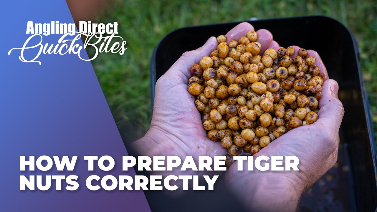 How To Prepare Tiger Nuts Correctly - Carp Fishing Quickbite