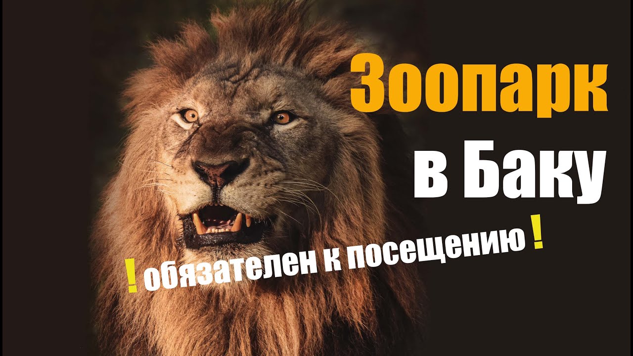 Зоопарк в Баку, влог. Цены, плюсы и минусы.