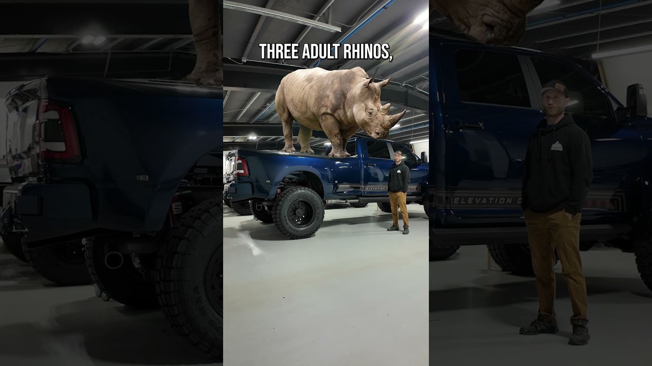Talkin&rsquo; Payload. #elevationoffgrid #f550 #ram5500 #heavydutytrucks