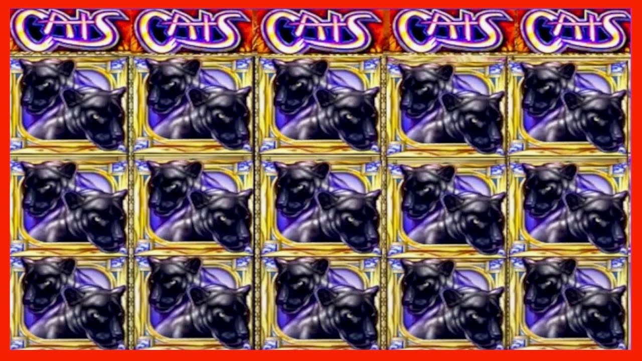 ★★JACKPOT HANDPAY★★$300 BETS★★CATS HIGH LIMIT SLOT MACHINE BUENO DINERO MUSEUM SLOTS IGT