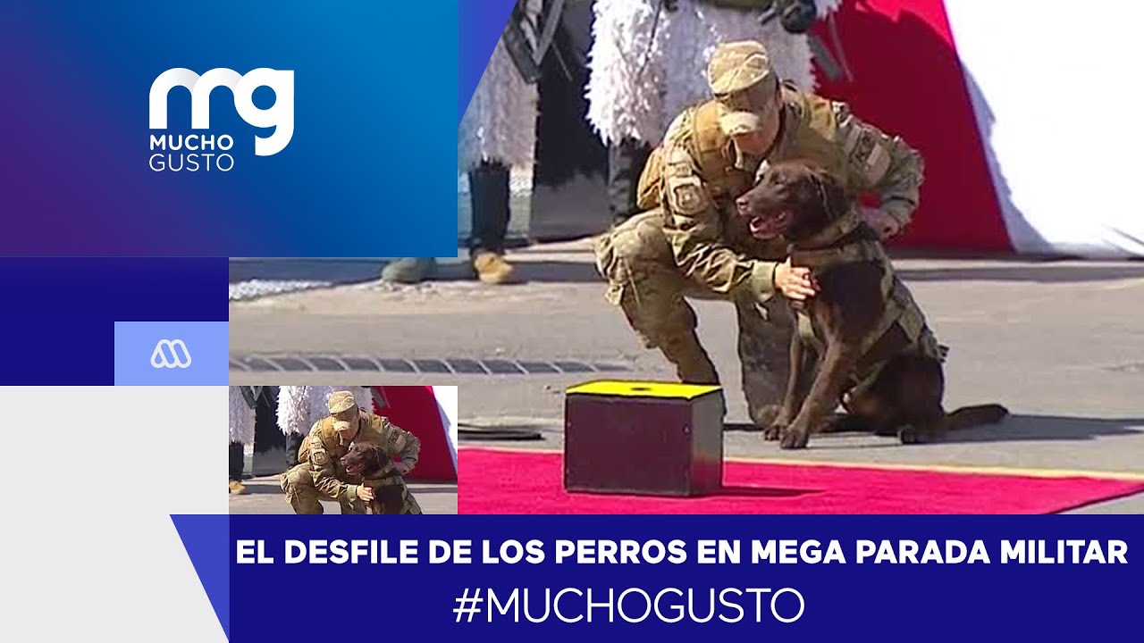 El desfile de los perritos en la Mega Parada Militar 2023
