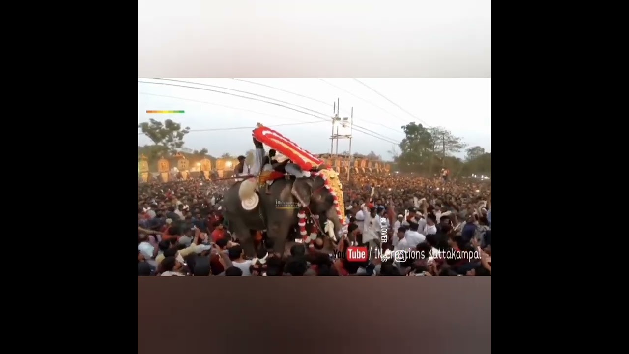 #karnan #elephantlovers #anapremikal