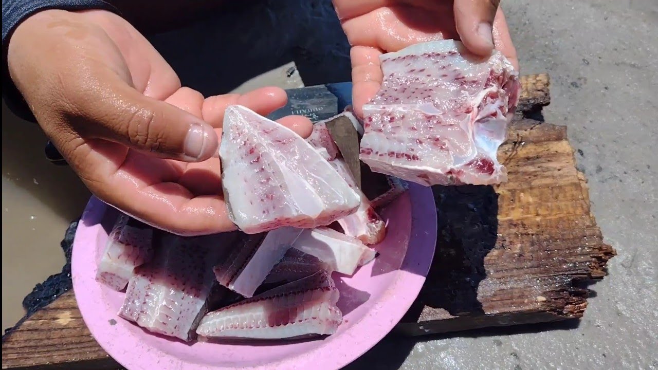 ARRAIA NO LEITE DE CÔCO NA BEIRA DO IGARAPÉ. PESCA E AVENTURA.