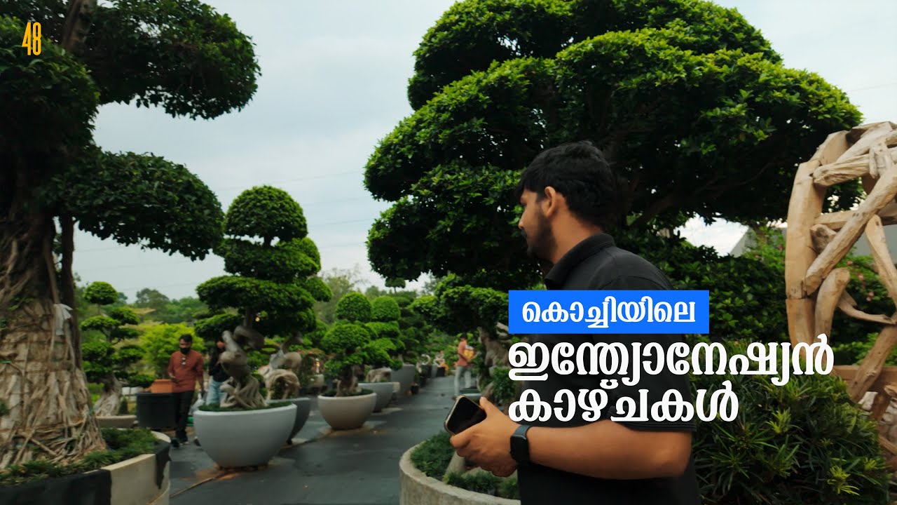 ഗാർഡനിങ്ങിലെ കിടിലൻ പ്ലേസ് നമ്മുടെ മൂവാറ്റുപുഴയിൽ   Chris Garden Centre, Muvattupuzha