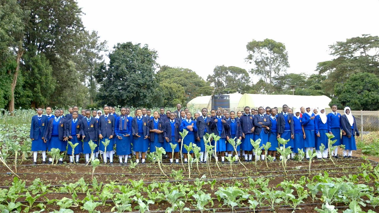 Shamba Shape Up Sn 13 - Ep 22: Dairy Cow, Improved Kenbro Chicken and Beans (English)
